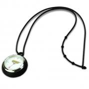 Pocket watch