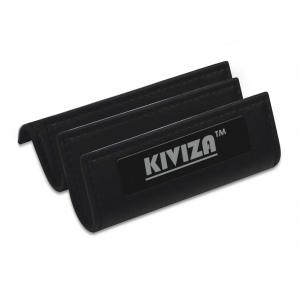 Kiviza