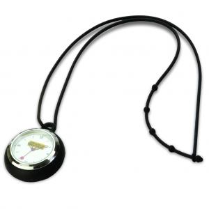 Pocket watch