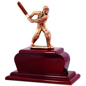 Cricket
