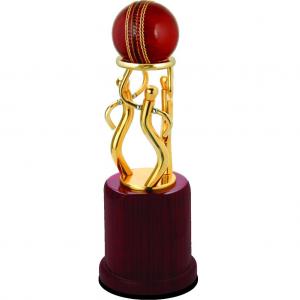 Cricket