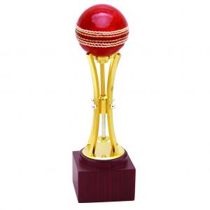 Cricket